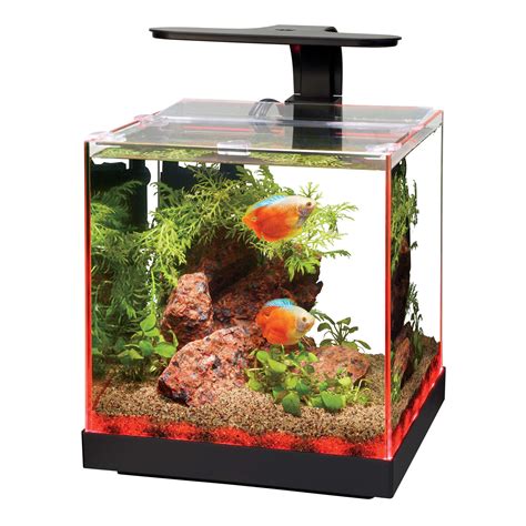 3 gal fish tank|3 gallon glass fish tank.